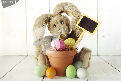 Image of Easter Bunny Themed Holiday Occasion Image