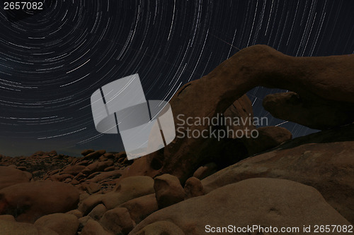 Image of Night Star Trail Streaks over the Rocks of Joshua Tree Park