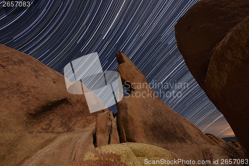 Image of Night Star Trail Streaks over the Rocks of Joshua Tree Park