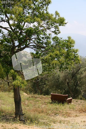 Image of Sofa in nature