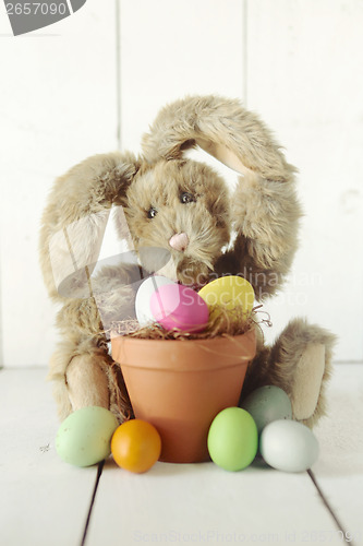 Image of Easter Bunny Themed Holiday Occasion Image