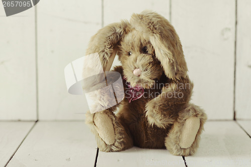 Image of Teddy Bear Like Home Made Bunny Rabbit on Wooden White Backgroun