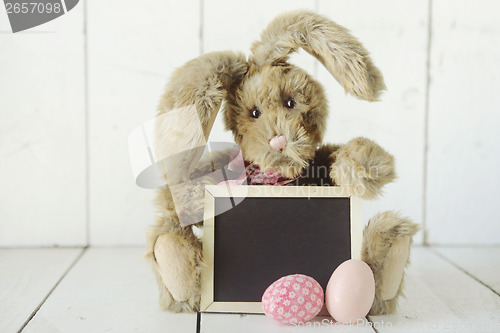 Image of Easter Bunny Themed Holiday Occasion Image