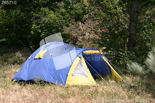 Image of Blue tent in the forest