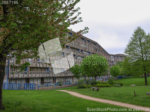 Image of Robin Hood Gardens London