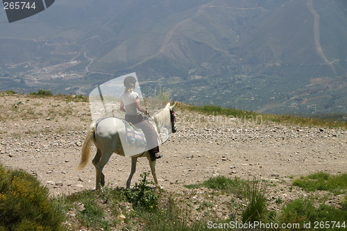 Image of Horse and rider