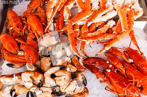 Image of Seafood in Bergen fish market