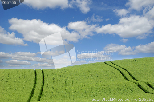 Image of Green hill and clouds