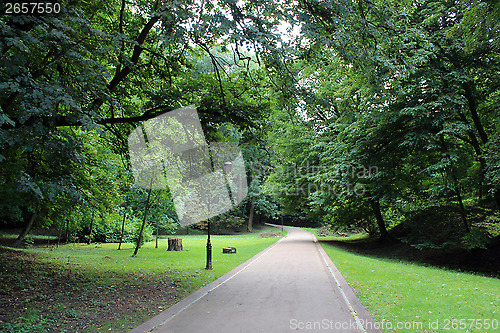 Image of path in great park with green grass