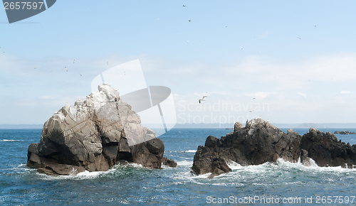 Image of rock formation with some birds at Seven Islands