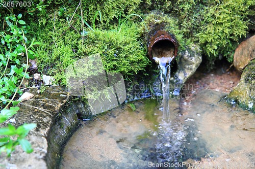 Image of spring of water 