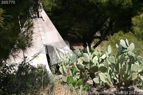 Image of Traditional tipi behind cactus