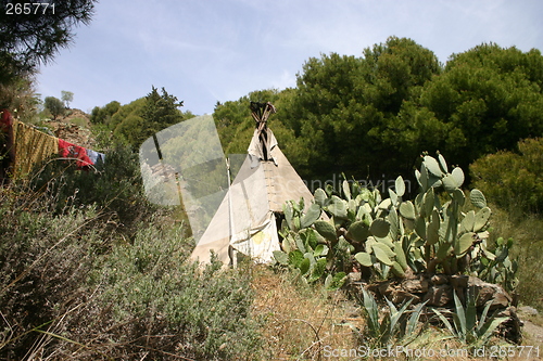 Image of Traditional tipi with cactus and hanging laundry