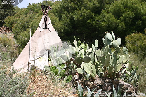 Image of Traditional tipi behind cactus