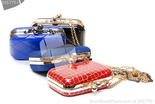 Image of Fashionable female handbags