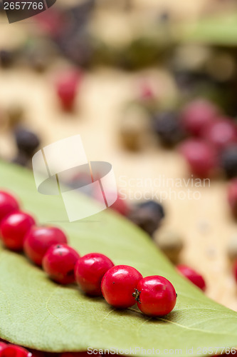 Image of Dry bay laurel leaf with multicolored peppercorn