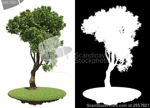 Image of Curved Green Tree Isolated on White Background.