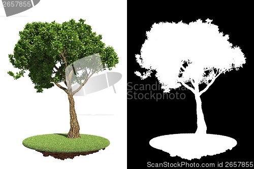 Image of Green Tree Isolated on White Background.