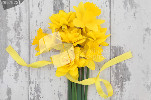 Image of  Spring Daffodil Beauty