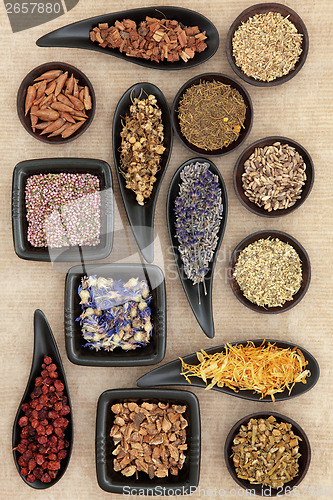 Image of Naturopathic Herbs