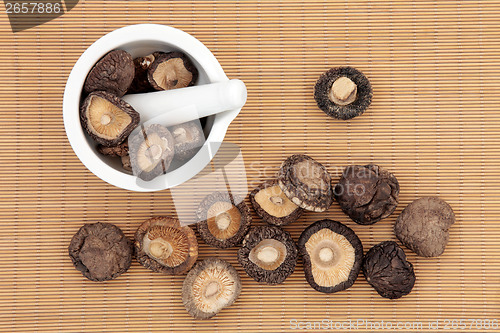 Image of Shiitake Mushrooms