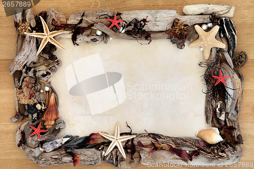 Image of Beach Treasures