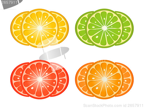 Image of Citrus fruit slices