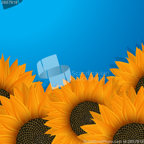 Image of Sunflowers over blue