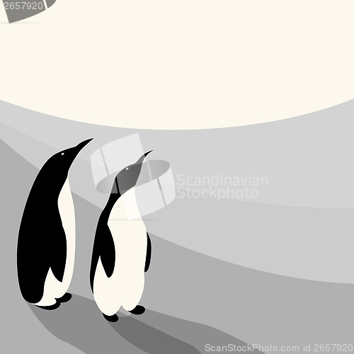 Image of Penguin couple