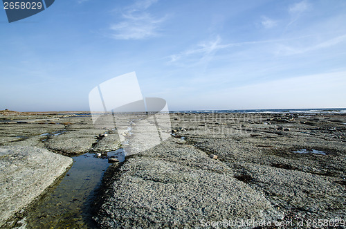 Image of Flat rock coast