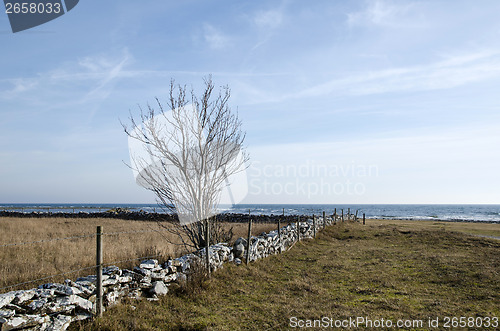 Image of Fence at an old stonewall