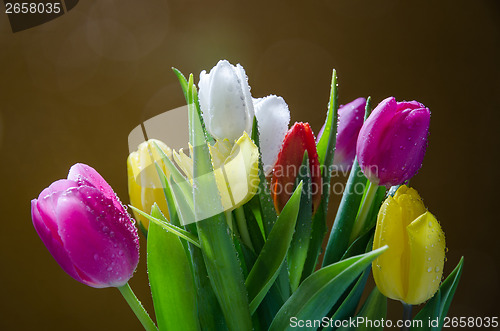 Image of Fresh spring flowers bouquet