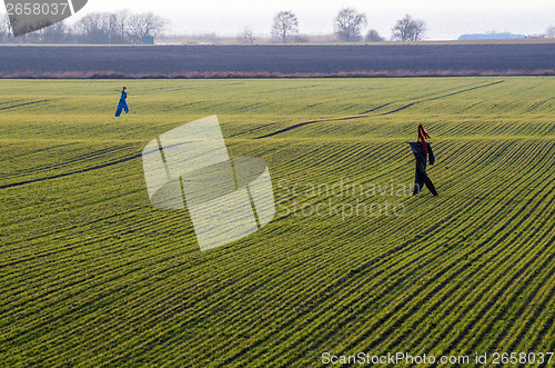 Image of Scarecrows at a farmers field