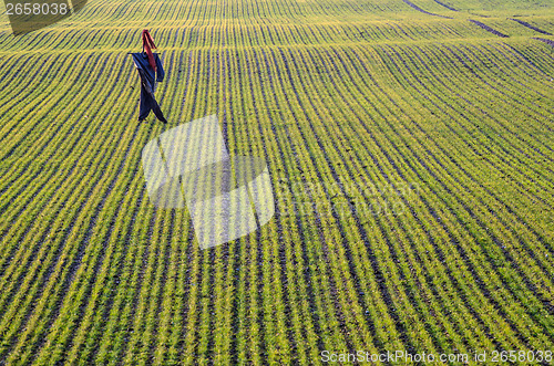Image of Scarecrow at a farmers field at springtime