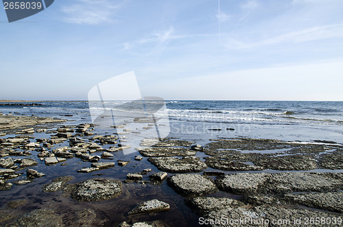 Image of Flat and rocky coastline