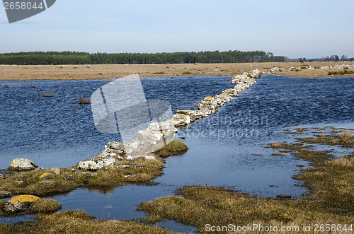 Image of Springtime flood