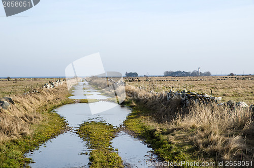 Image of Flooded dirt road