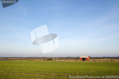 Image of Small red barn at a great plain area