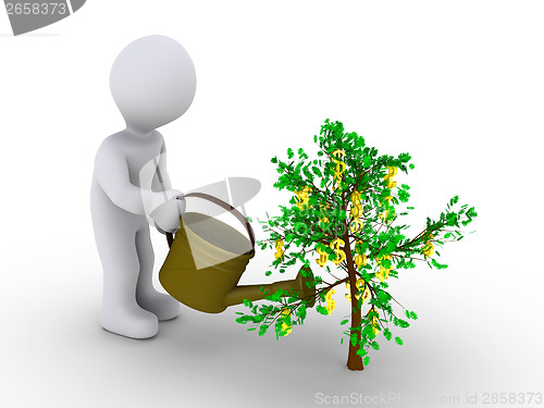 Image of Person watering dollar tree