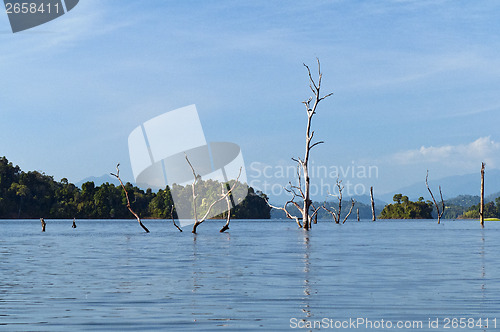 Image of Chiew Lan Lake (Rajjaphapa Dam), Thailand