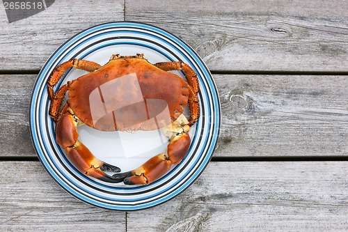 Image of Cooked crab top view on white plate