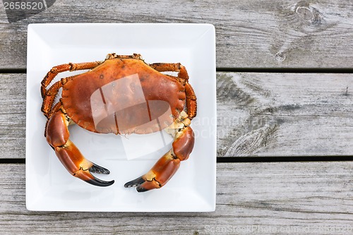 Image of Cooked crab top view on white plate