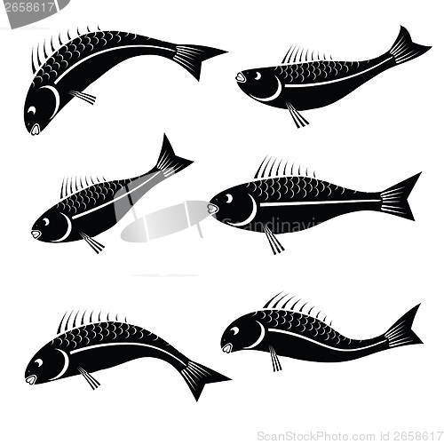 Image of fishes