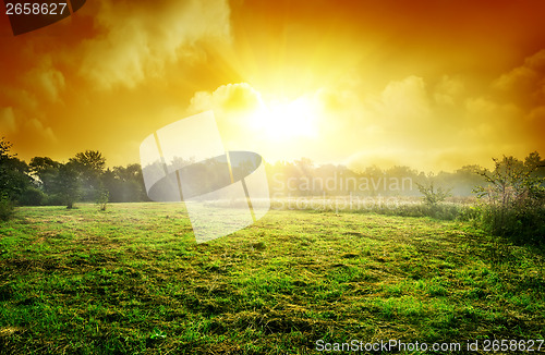 Image of Meadow at sunset