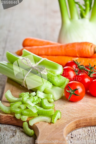 Image of fresh organic fennel, celery, carrot and tomatoes