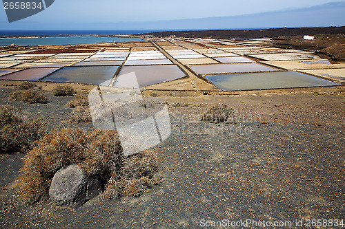 Image of salt in  lanzarote spain musk  coastline and summer 