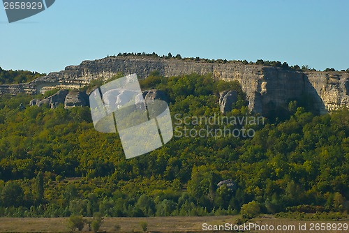 Image of mountain Crocodile