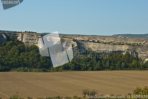 Image of mountain Crocodile