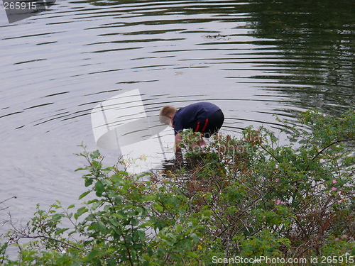 Image of Exploring seawater