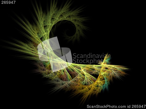 Image of Floral pattern background